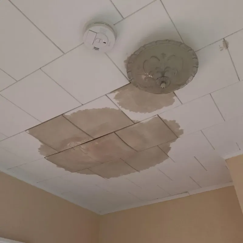 Ceiling Water Damage Repair in De Graff, OH