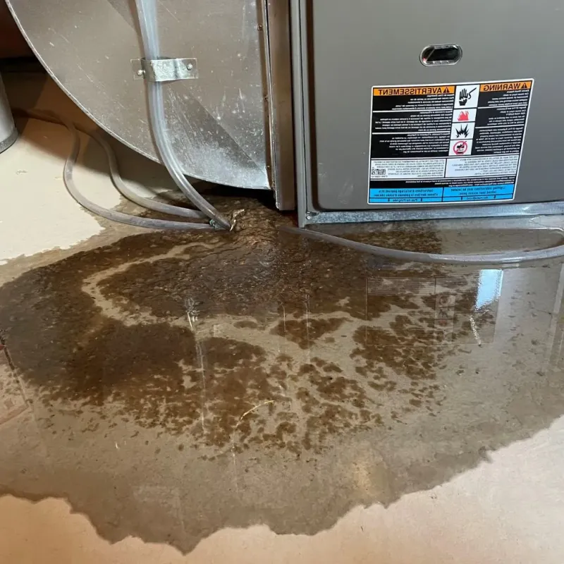 Pipe Burst and Leak Restoration in De Graff, OH