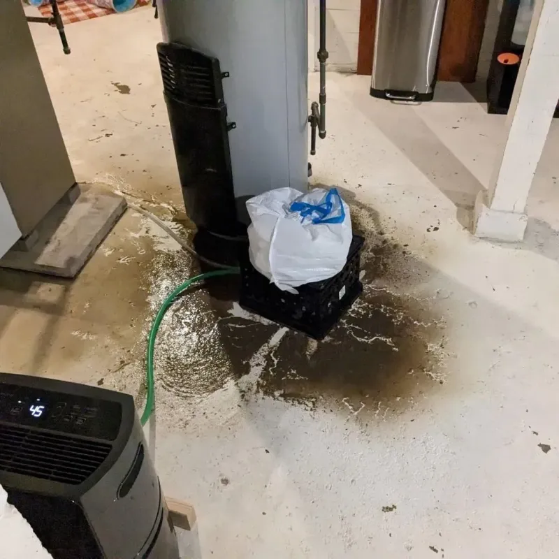 Sewage Backup Cleanup Service in De Graff, OH